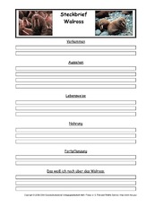Walross-Steckbriefvorlage.pdf